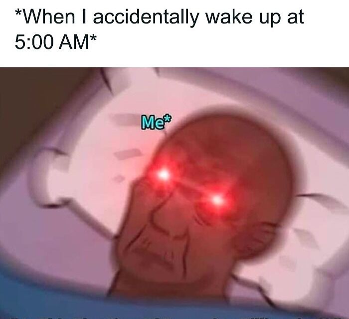 Accidentally wake up at 5:00 AM meme