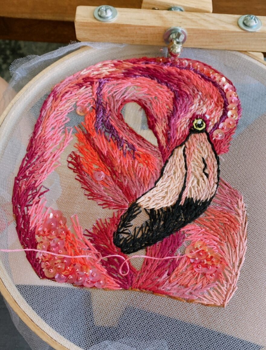 Flamingo Taking Flight