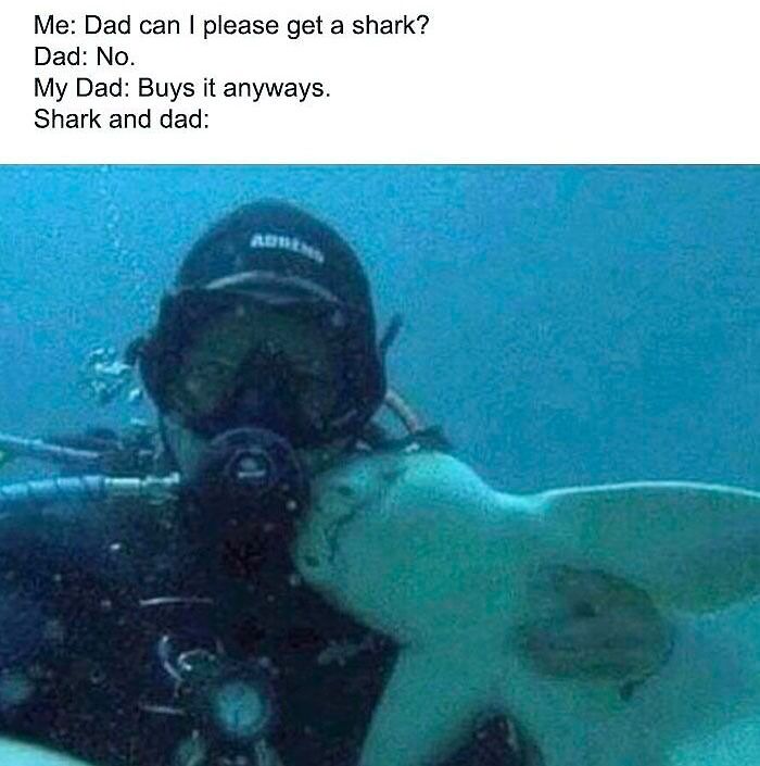 birthday meme about shark