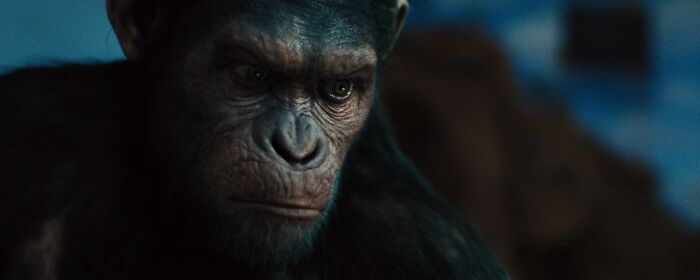 Scene from "Rise Of The Planet Of The Apes" movie