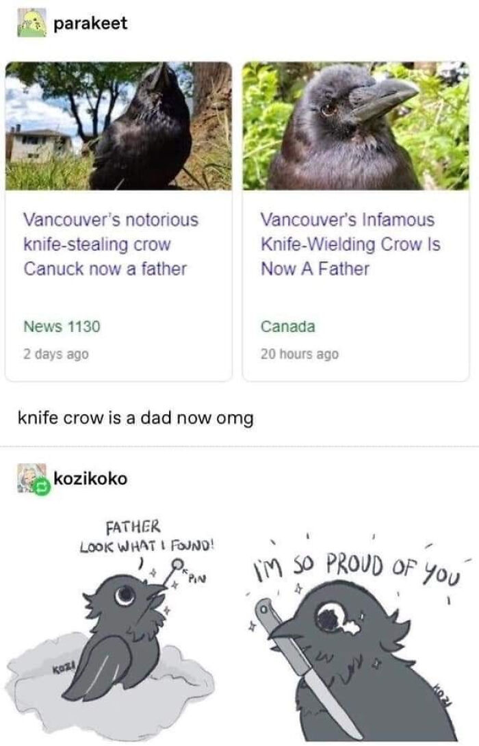 Vancouver's Infamous Knife-Wielding Crow Is Now A Father