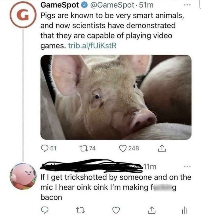 Reject Humanity, Return To Oink