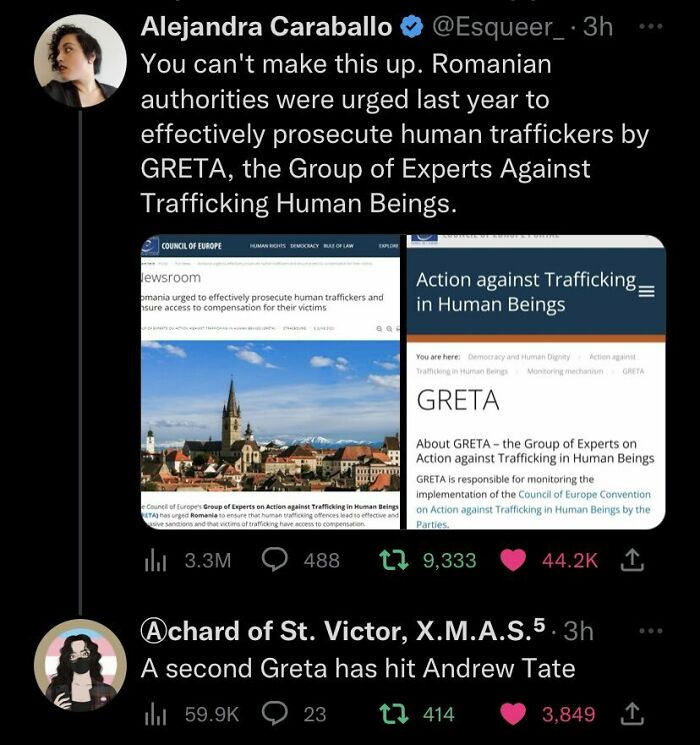 A Second Greta Has Hit Andrew Tate