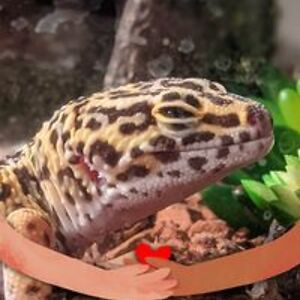 reclaiming0407 avatar