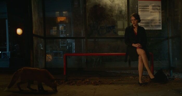 Fleabag sitting on a bench and looking at the fox