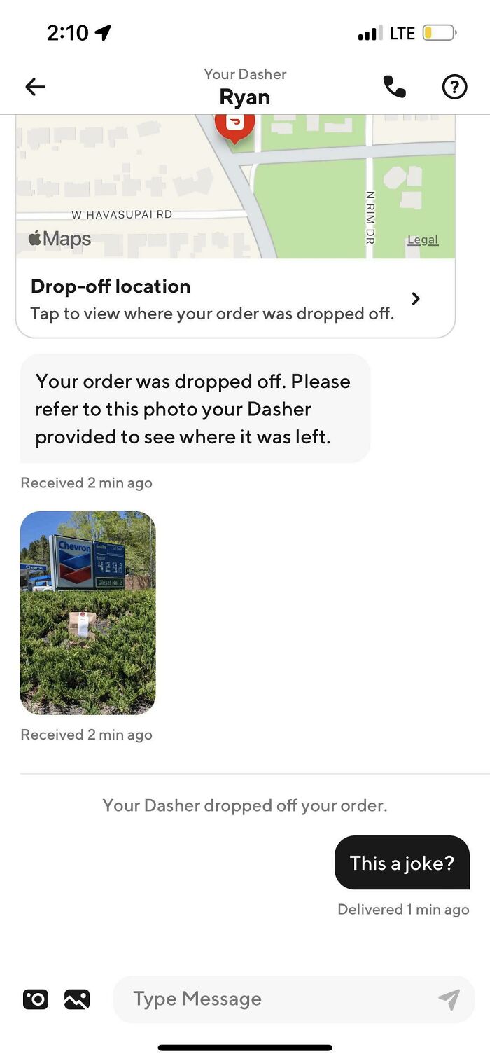 Dasher Left Food In Bushes