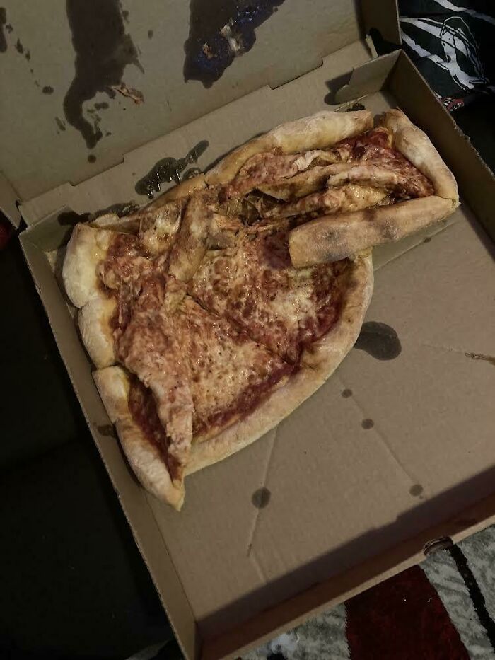 I Met The Dasher Downstairs And He Had The Pizza In Some Backpack…sideways