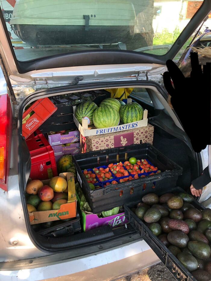 So Much Fruit And Veggies! My Car Actually Had Trouble Accelerating Due To The Weight