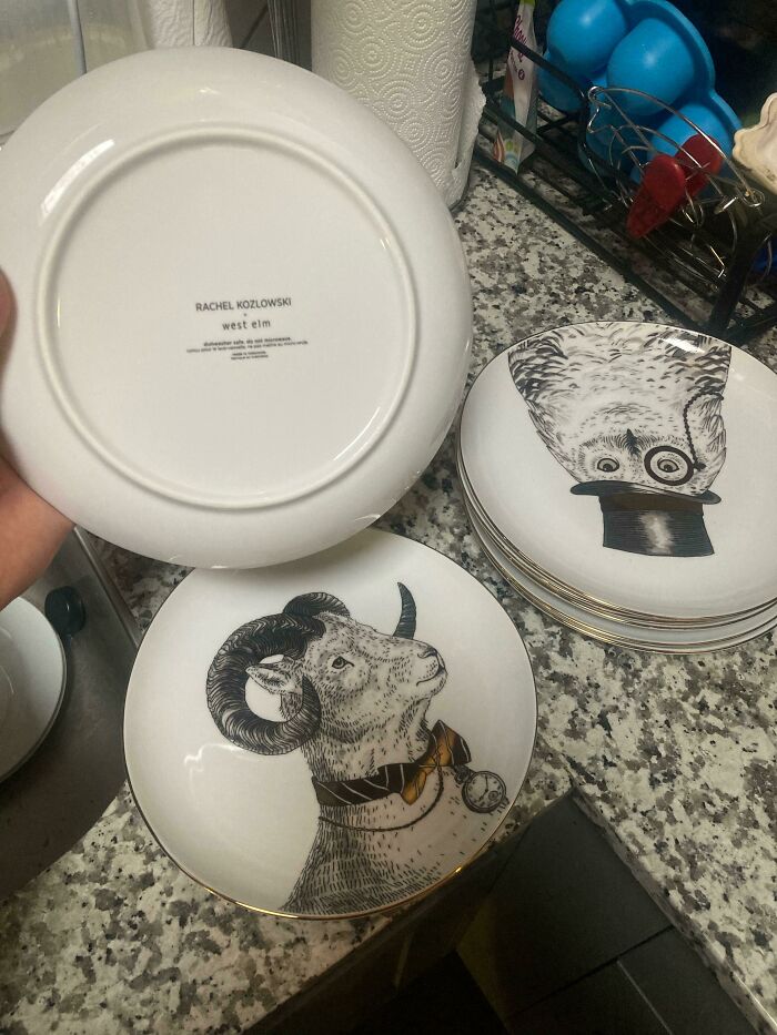 West Elm Plates! A Set Of 8. A Distinguished Gentleman, Animal Collection