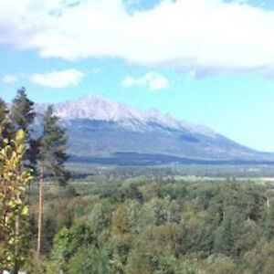 slavkakaterinastastna avatar