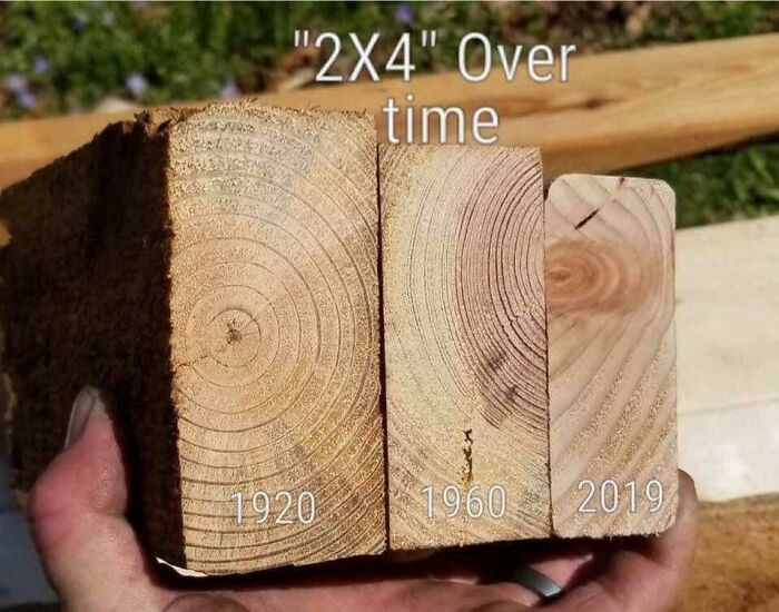2x4 Studs Over A 100 Year Period
