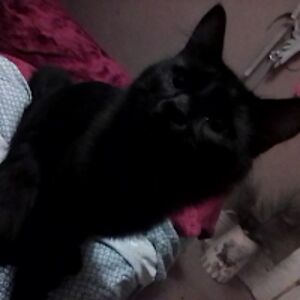 brookehoppler avatar