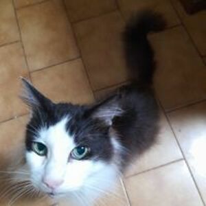 christina_szymanis avatar