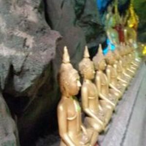 robert_spence avatar