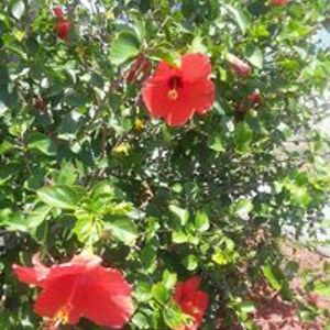 accessmaureen86 avatar