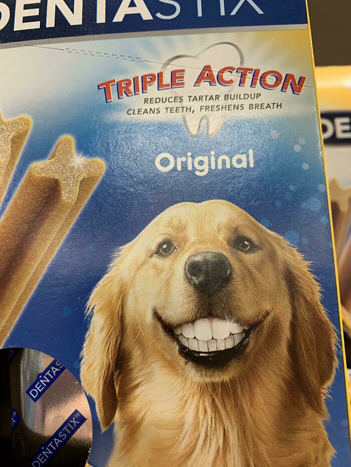 Perro con dientes humanos