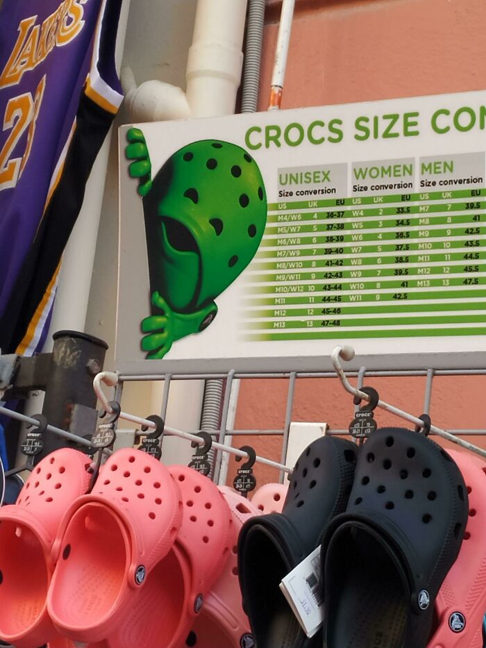 The Croc, It Sees You ;o