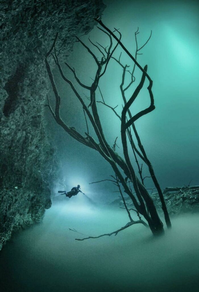 Cenote Diving At Its Finest