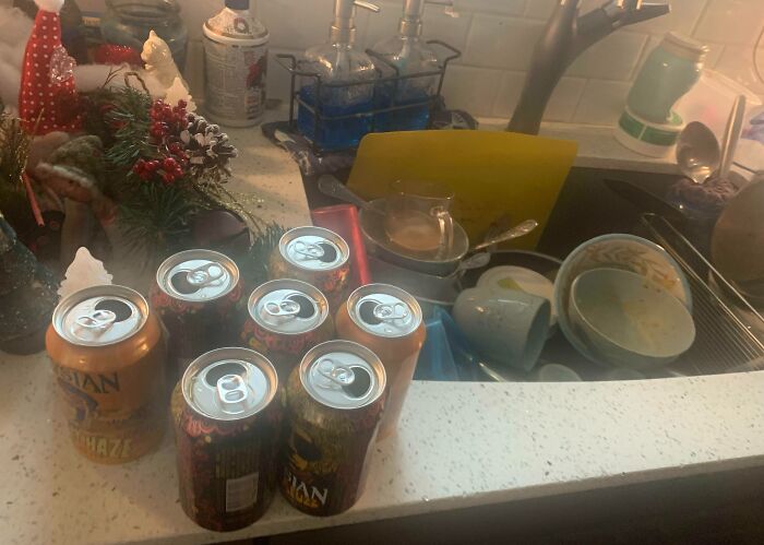 My Mom Left Out All Her Beer Cans When She Told Me To Clean The Dishes