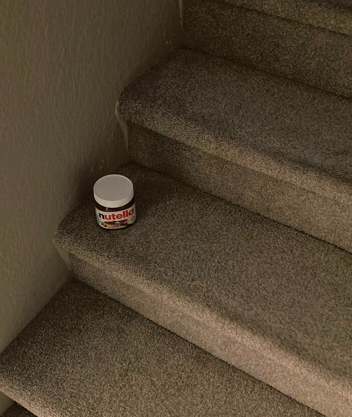 My Brother Leaves Whatever Snack He Half-Ate Last Night On The Stairs Instead Of Putting It Back In The Pantry… Every Night