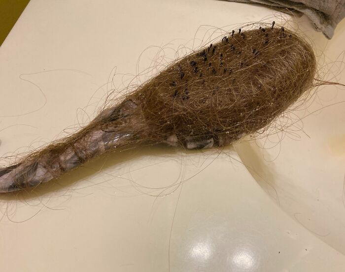 El cepillo lleno de pelo que mi hija deja colgado en la ducha