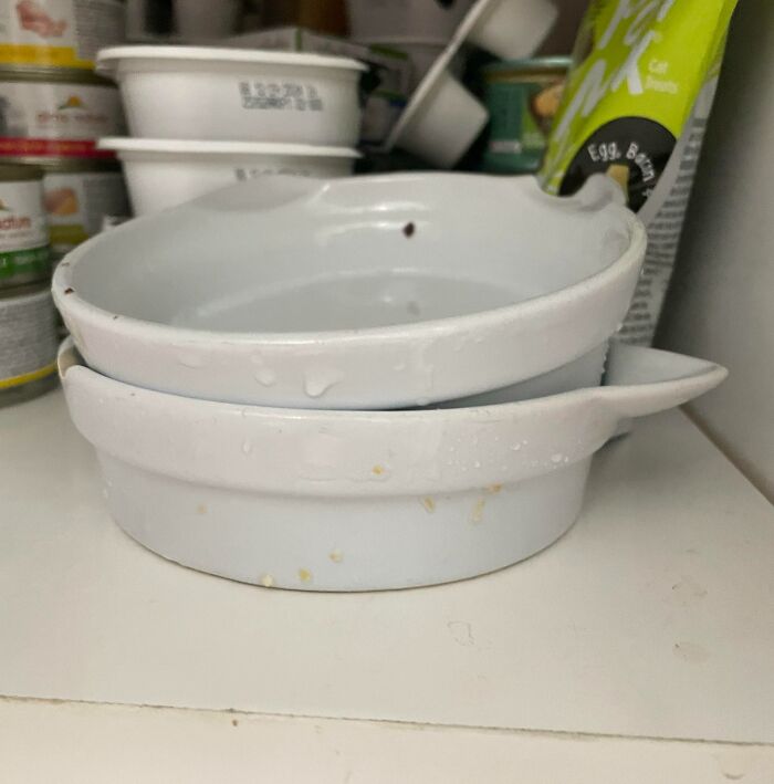 Mi hermana dice que "los gatos no necesitan platos limpios" y se limita a poner los cuencos de los gatos en el armario con grandes trozos de comida todavía pegados a ellos