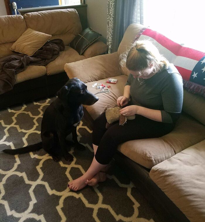 My Wife Operating On Our Boy's Best Friend. He Is Making Sure Everything Is Going Well