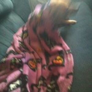 lorettaames059 avatar