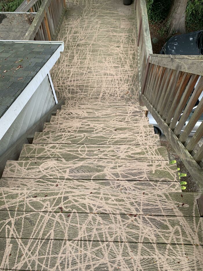 My Landlord Told Me He’d Pressure Wash My Deck