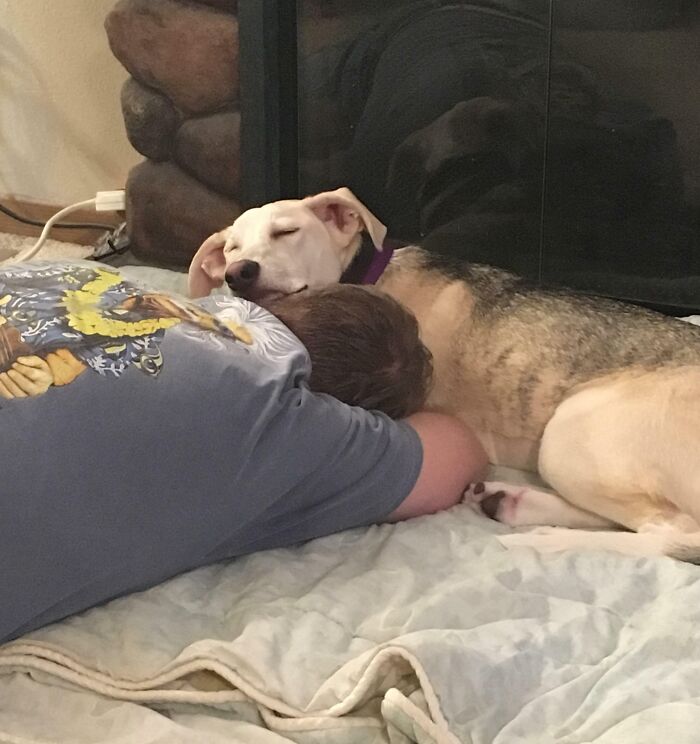 Our Newest Rescue. She’s Afraid Of Men So My Husband Put A Blanket Down For Her To Choose When To Approach. She Laid By Him And Used His Head For A Pillow