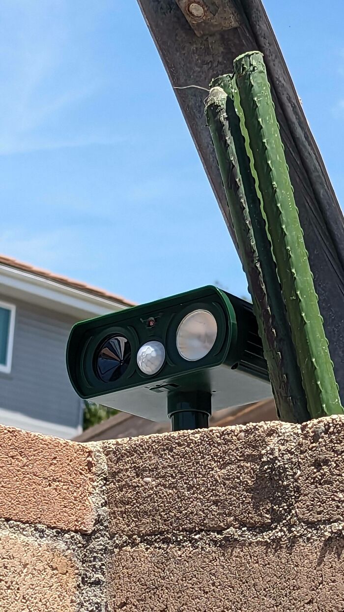 What Is This Camera Looking Thing My Neighbors Pointed At My Backyard?