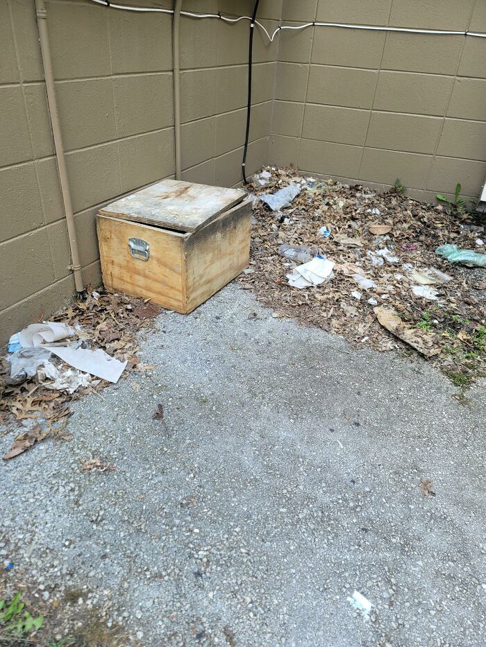 A Strange Wooden Crate In An Alley, Is How Horror Movies Begin
