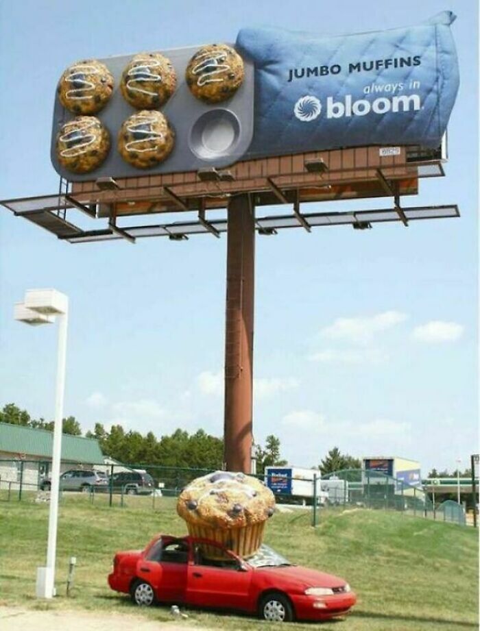 Bloom Supermarkets - Charlotte, North Carolina