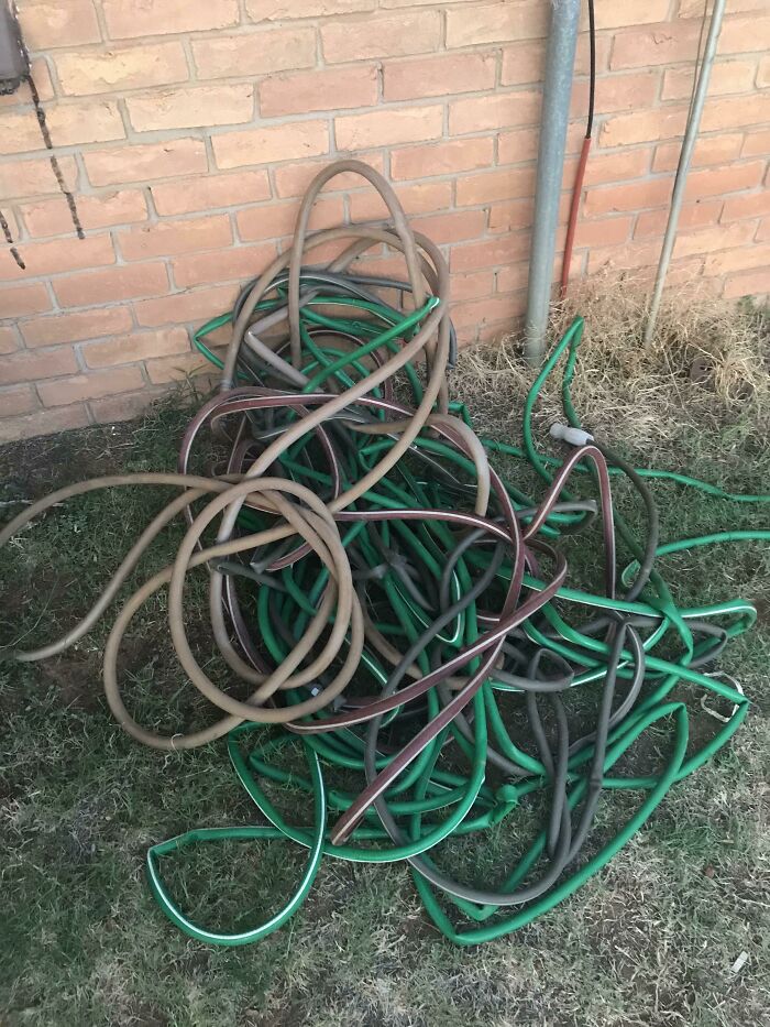 Moved Into A New House. Landlord Said To Water The Lawn, We Left You A Hose