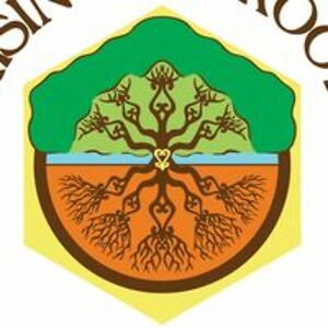 knzenterprises avatar