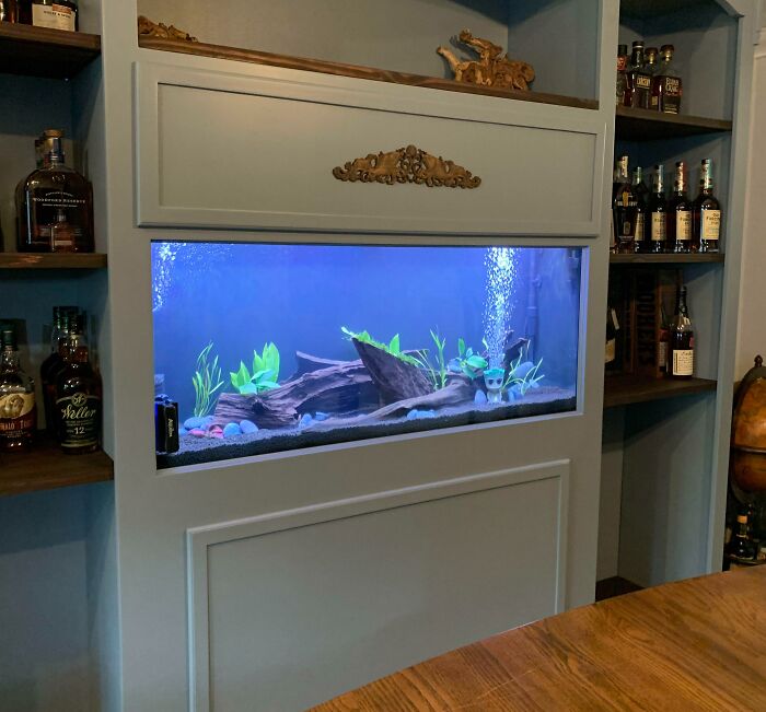 Aquarium inside of a shelf 