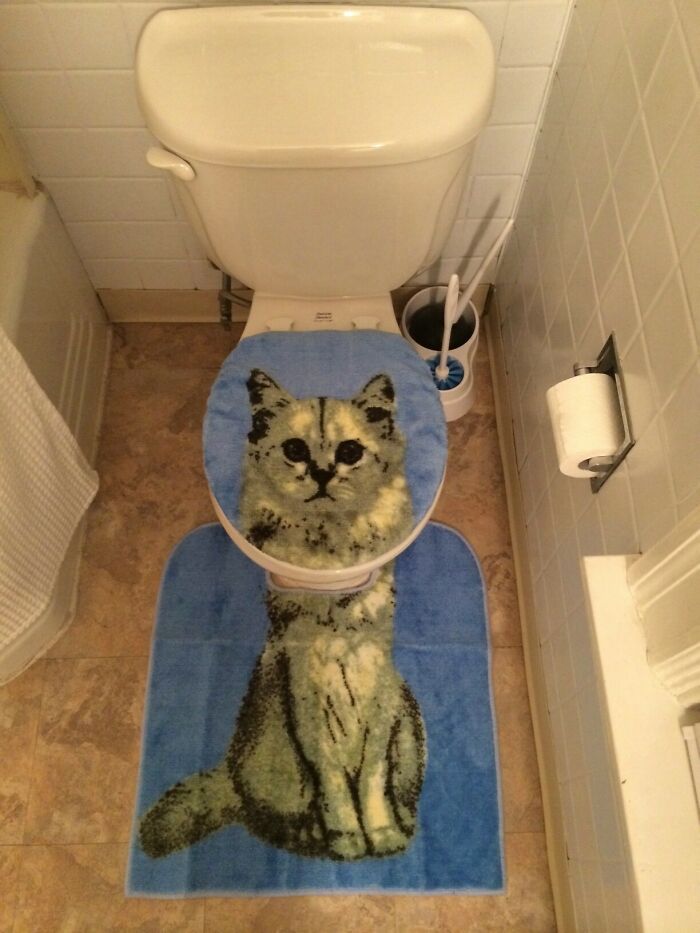 Rug with cats body in the bathroom