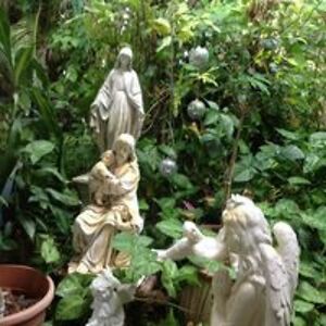 shirleybeales12 avatar