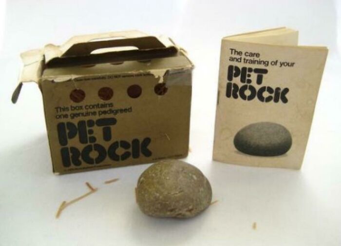 Pet Rocks!