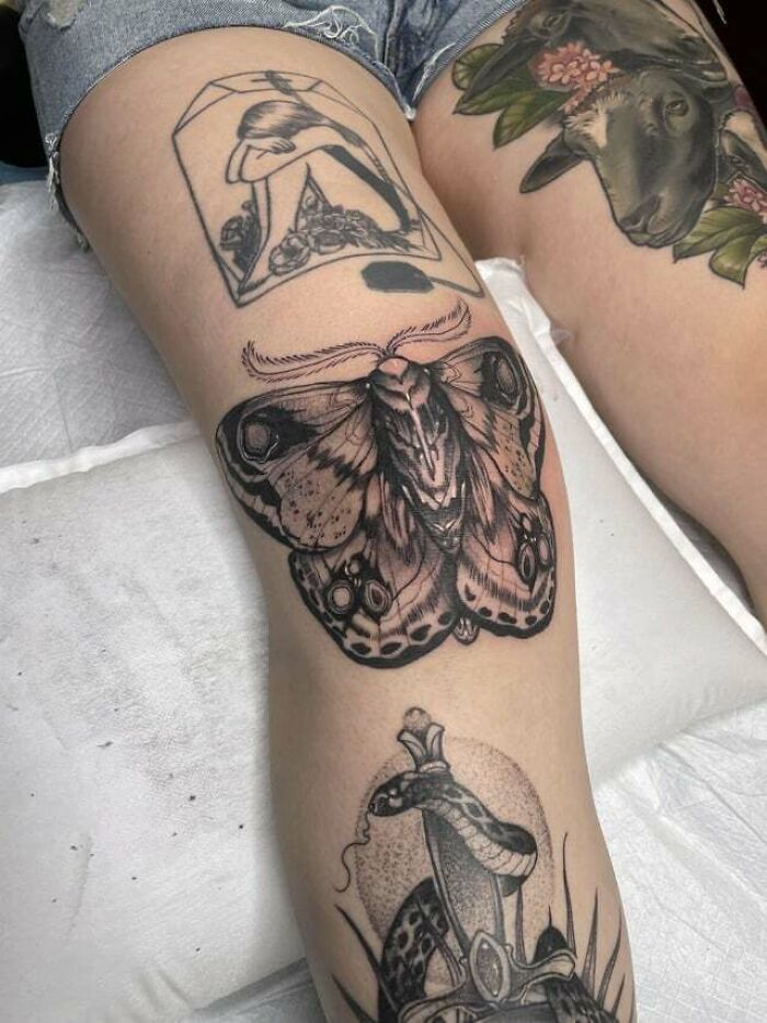 Knee tattoos featuring a detailed moth, a snake with a dagger, and artistic designs on upper leg.
