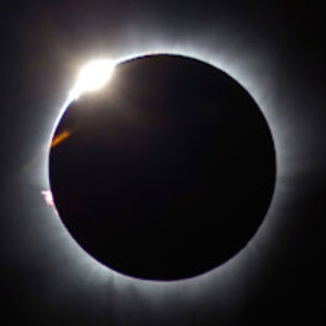 bobmaplethorpe avatar