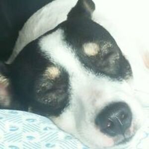 jan_angelo_maghinang avatar