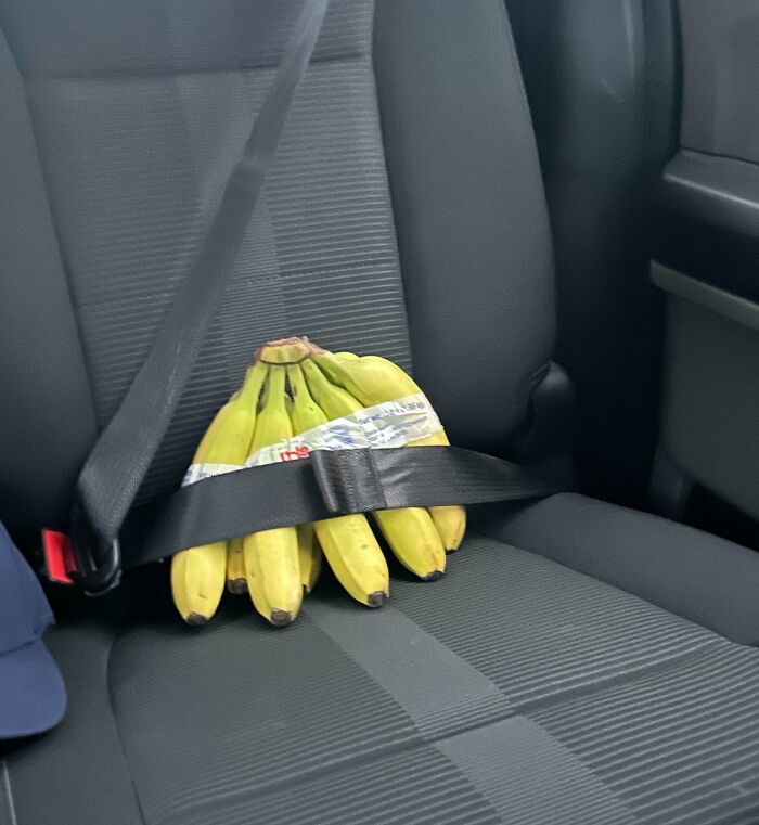 My Coworker Straps His Bananas In For Work