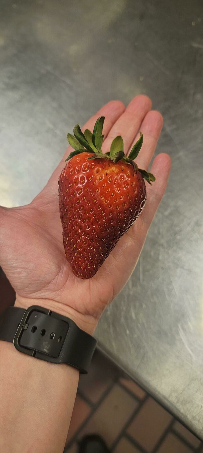 I Shall Make A Pie, That Is Envied By All, With This One Strawberry