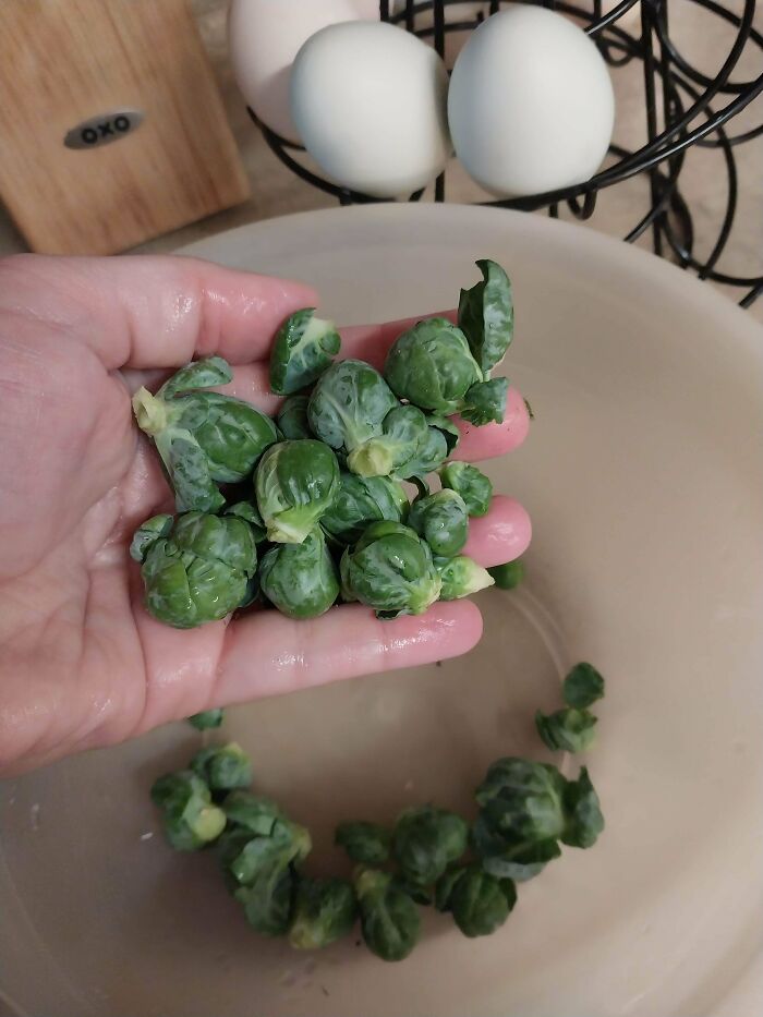 Praise Be! These Brussel Sprouts Will Keep Us Healthy All Spring!