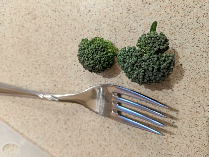 Bite-Sized Broccoli Heads