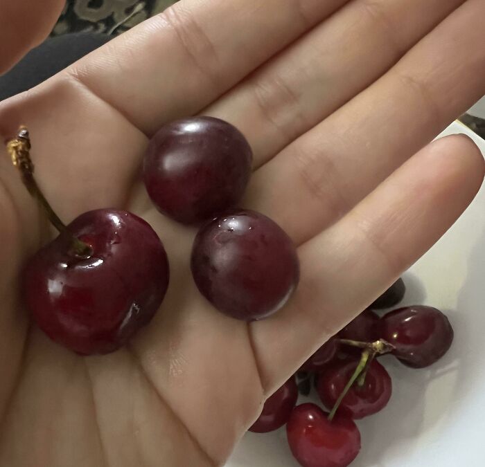 My Plums Think They’re Cherries