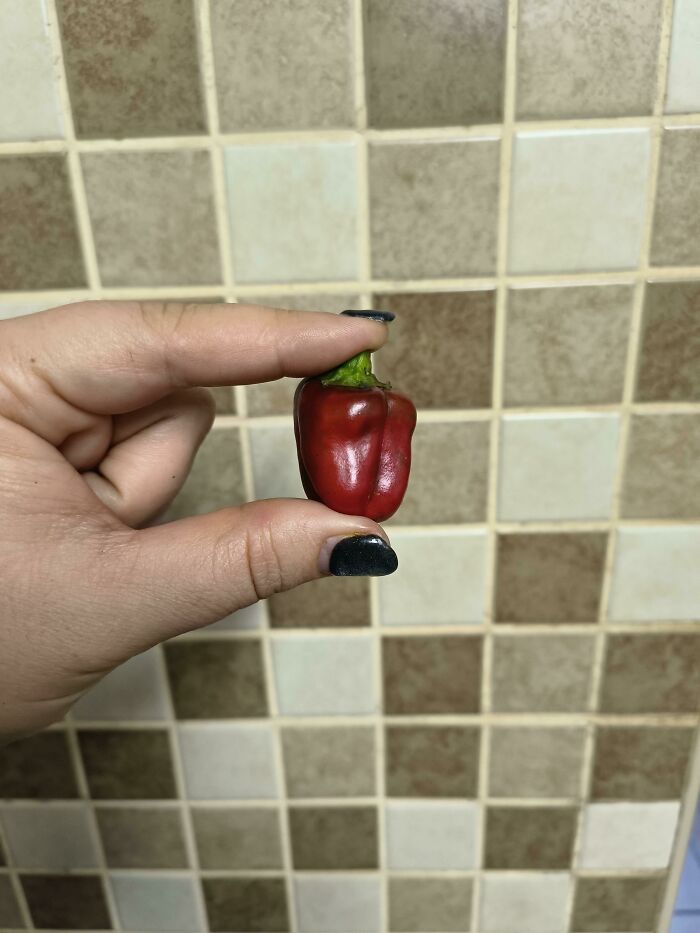 The Mightiest Red Pepper!