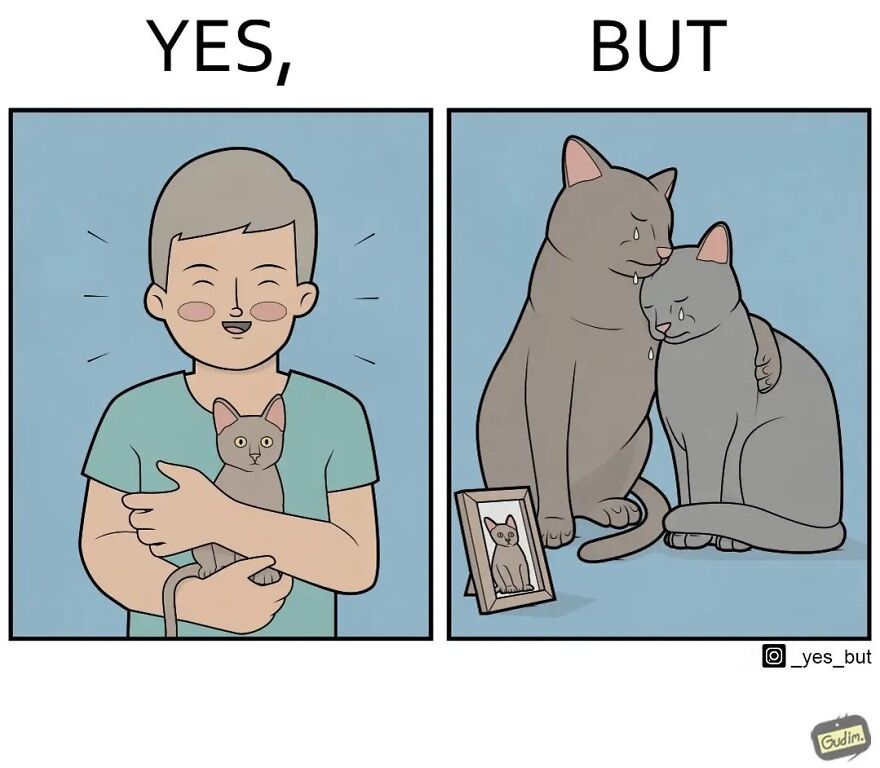 19 Comics By Artist Antоn Gudim From The "Yes, But" Series, Dedicated Exclusively To Dogs And Cats