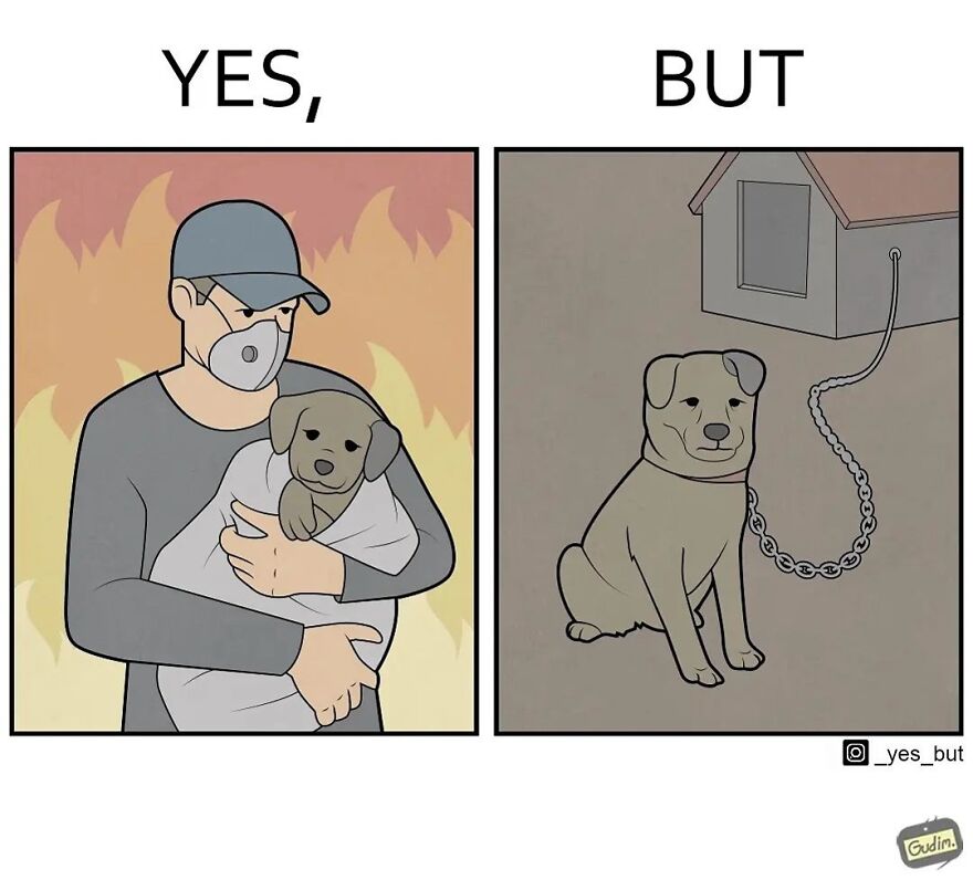 19 Comics By Artist Antоn Gudim From The "Yes, But" Series, Dedicated Exclusively To Dogs And Cats